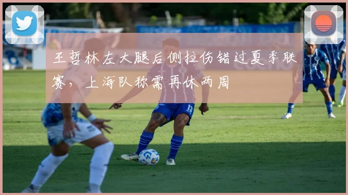 王哲林左大腿后侧拉伤错过夏季联赛，上海队称需再休两周